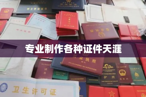 埔盐专业制作各种证件天涯