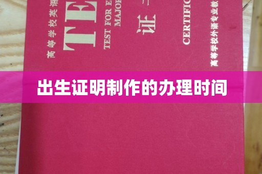 埔盐出生证明制作的办理时间