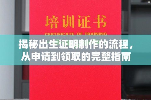 埔盐揭秘出生证明制作的流程，从申请到领取的完整指南