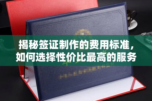 埔盐揭秘签证制作的费用标准，如何选择性价比最高的服务？