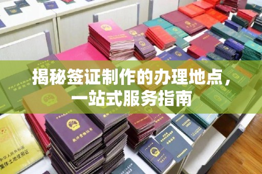 埔盐揭秘签证制作的办理地点，一站式服务指南