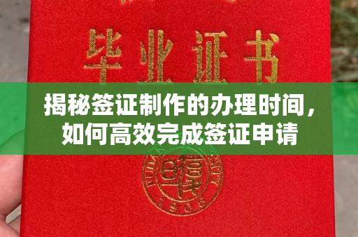 埔盐揭秘签证制作的办理时间，如何高效完成签证申请