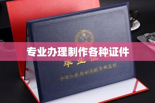 埔盐专业办理制作各种证件