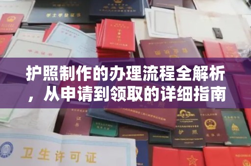 埔盐护照制作的办理流程全解析，从申请到领取的详细指南
