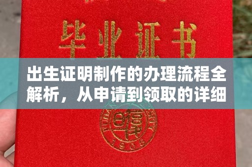 埔盐出生证明制作的办理流程全解析，从申请到领取的详细指南