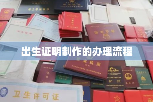 埔盐出生证明制作的办理流程