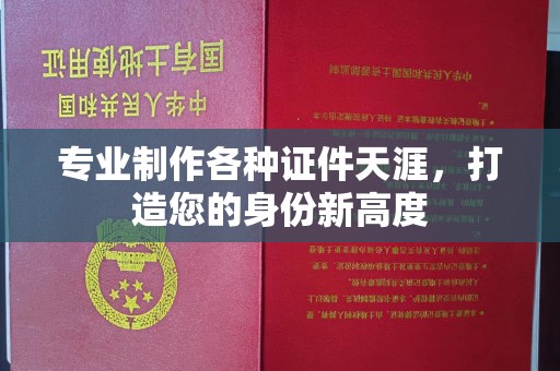 埔盐专业制作各种证件天涯，打造您的身份新高度