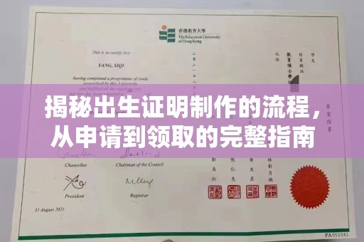 埔盐揭秘出生证明制作的流程，从申请到领取的完整指南