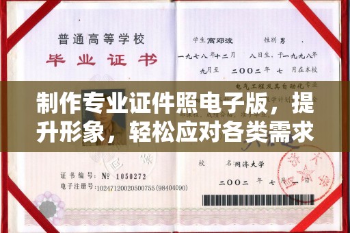 埔盐制作专业证件照电子版，提升形象，轻松应对各类需求